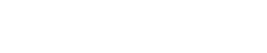 Logo toernooi.nl diapositief